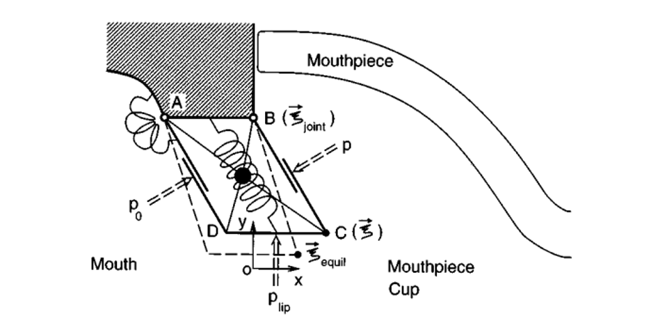 Figure 1: Lip model from Adachi & Sato (1996)