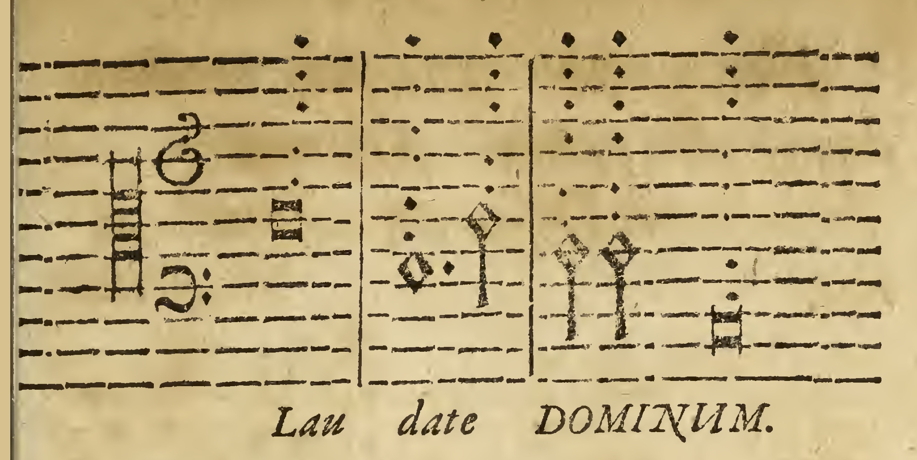 Lippius Dots